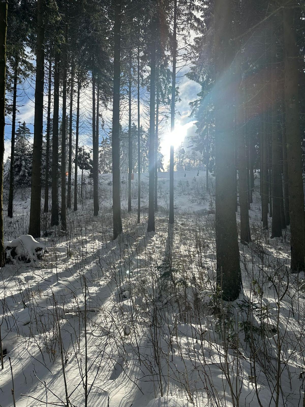 Winter (15)